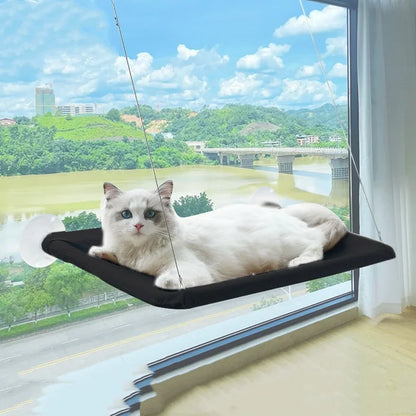 Cat Window Hammock with Suction Cups (Holds 20kg) - size reference