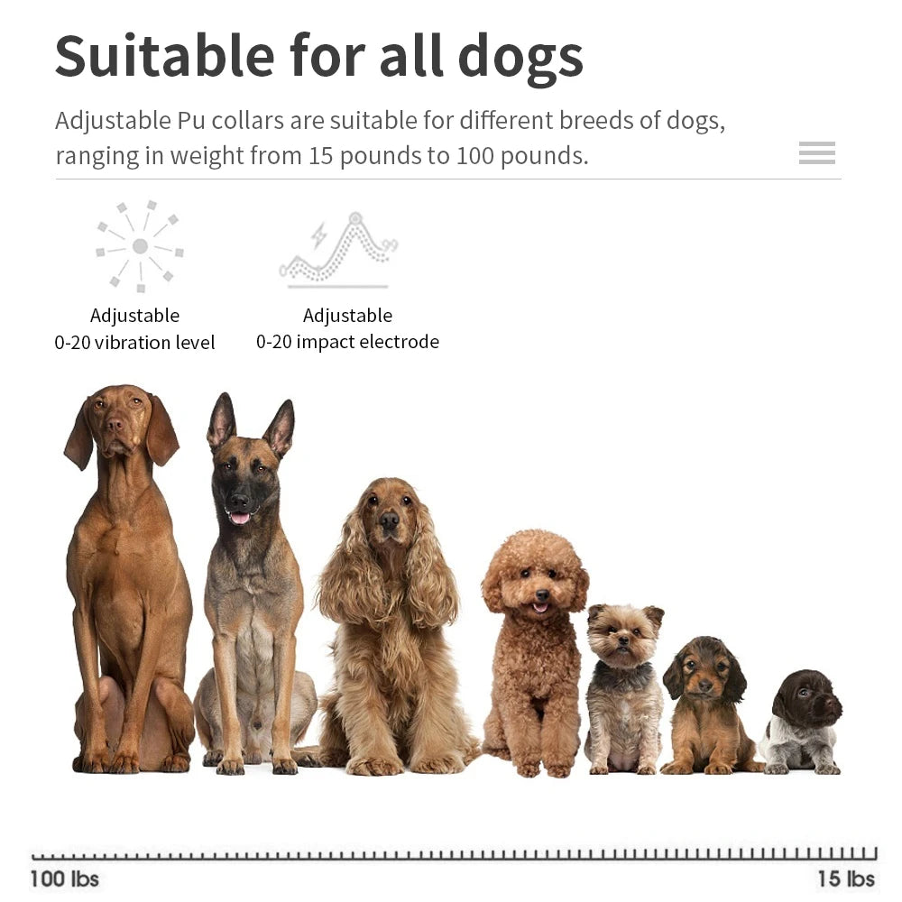 Rechargeable Anti-Bark Dog Training Collar - lifestyle