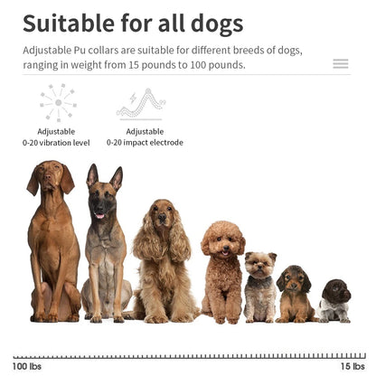 Rechargeable Anti-Bark Dog Training Collar - lifestyle