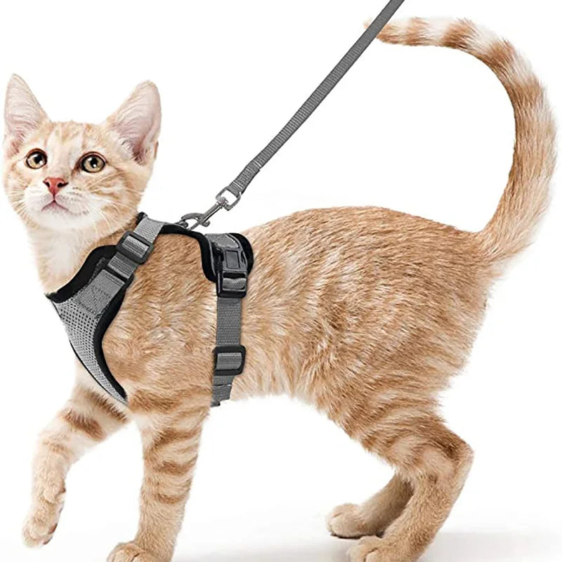 Escape Proof Cat Harness and Leash Set - GRAY / XS