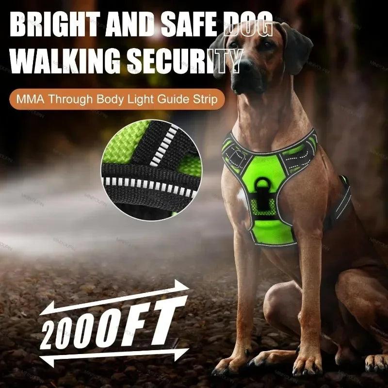 Rechargeable LED No-Pull Dog Harness - in use