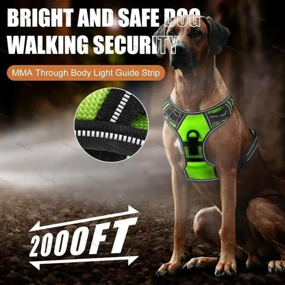 Rechargeable LED No-Pull Dog Harness - in use