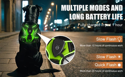 Rechargeable LED No-Pull Dog Harness - feature view