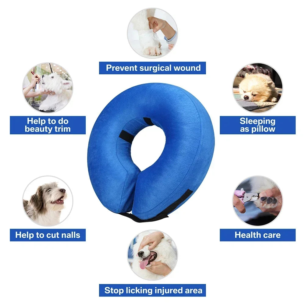 Inflatable Recovery Cone Collar for Dogs and Cats - lifestyle