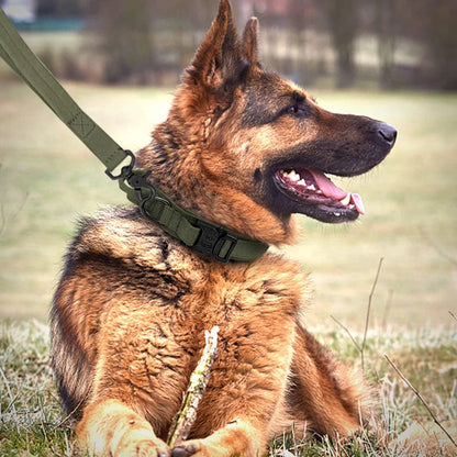 Tactical Dog Collar and Leash Set for Medium and Large Dogs - in use
