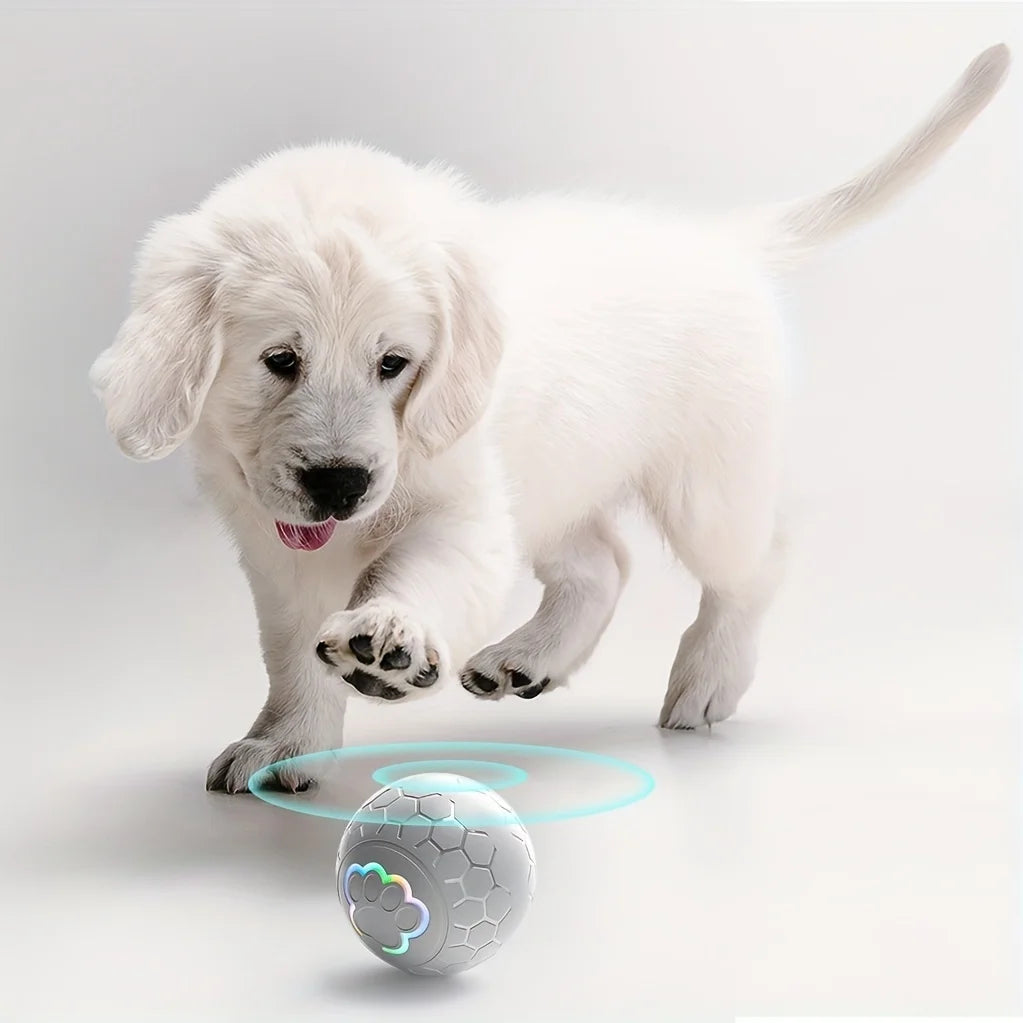 Smart Bouncing Dog Toy Ball with RGB Lights - from above