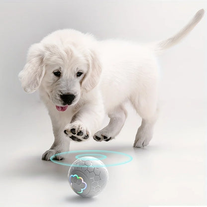 Smart Bouncing Dog Toy Ball with RGB Lights - from above