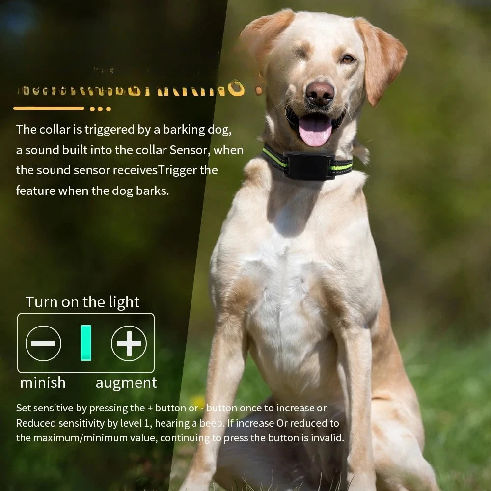 Rechargeable Anti-Bark Dog Training Collar - close-up