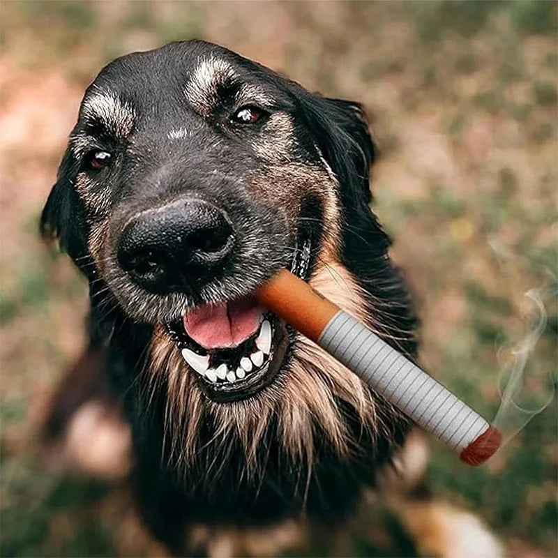 Cigarette Box Plush Squeaky Dog Toy (Funny Gift) - alternate angle