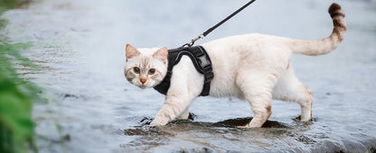 Escape Proof Cat Harness and Leash Set - alternate angle