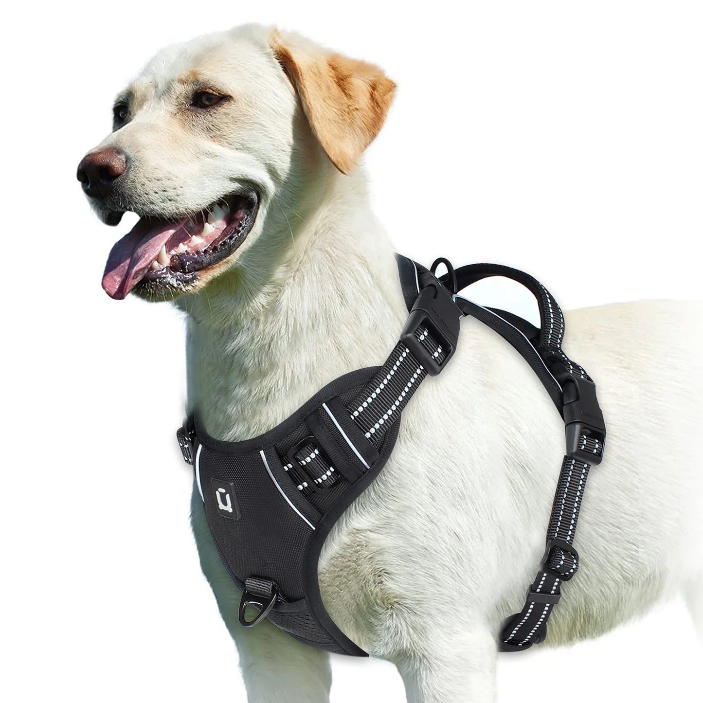 No-Pull Padded Dog Harness with Control Handle - M / black