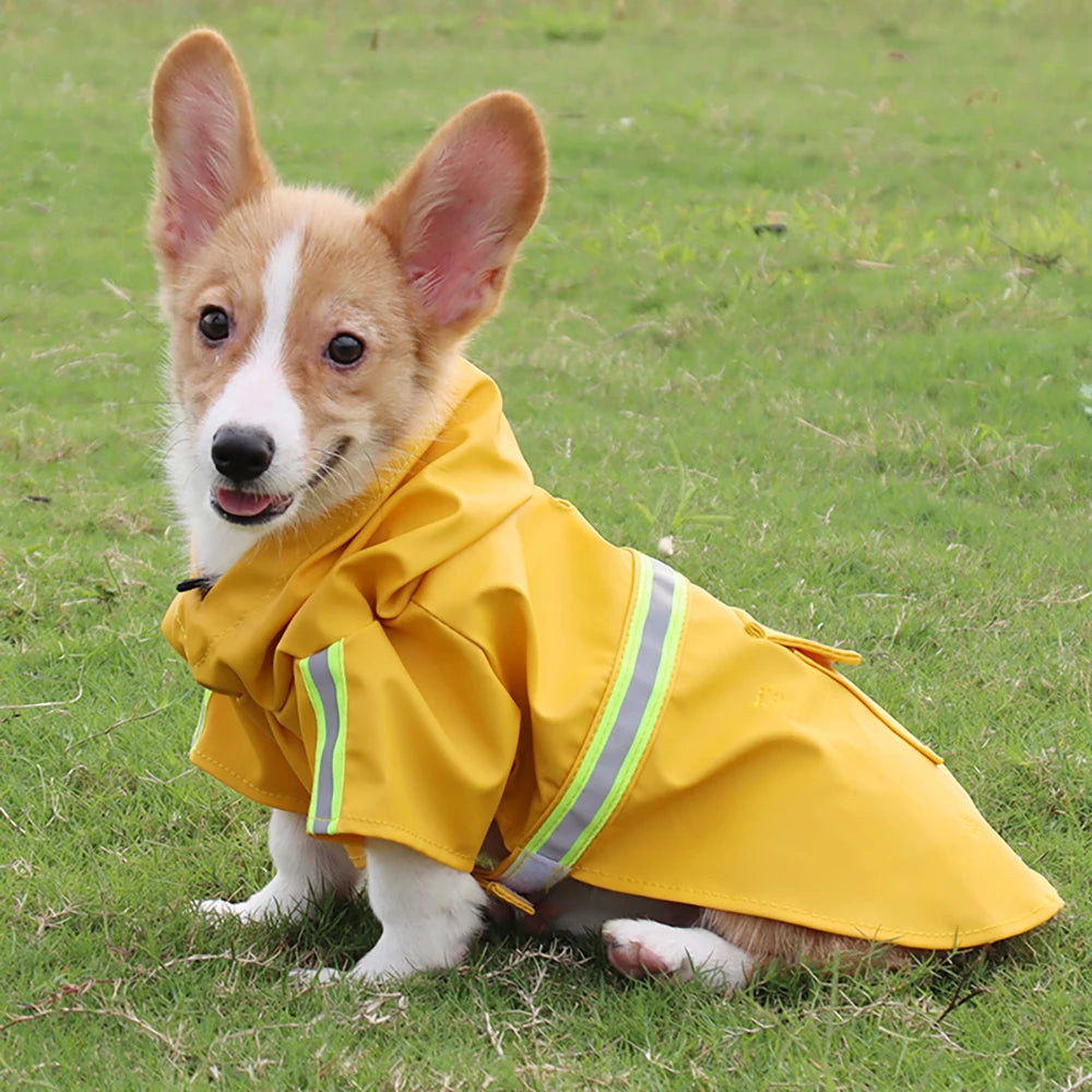 Hooded Reflective Dog Raincoat for Medium and Large Dogs - lifestyle