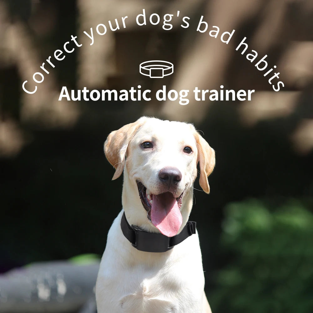 Rechargeable Anti-Bark Dog Training Collar - from above