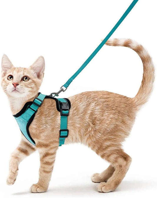 Escape Proof Cat Harness and Leash Set