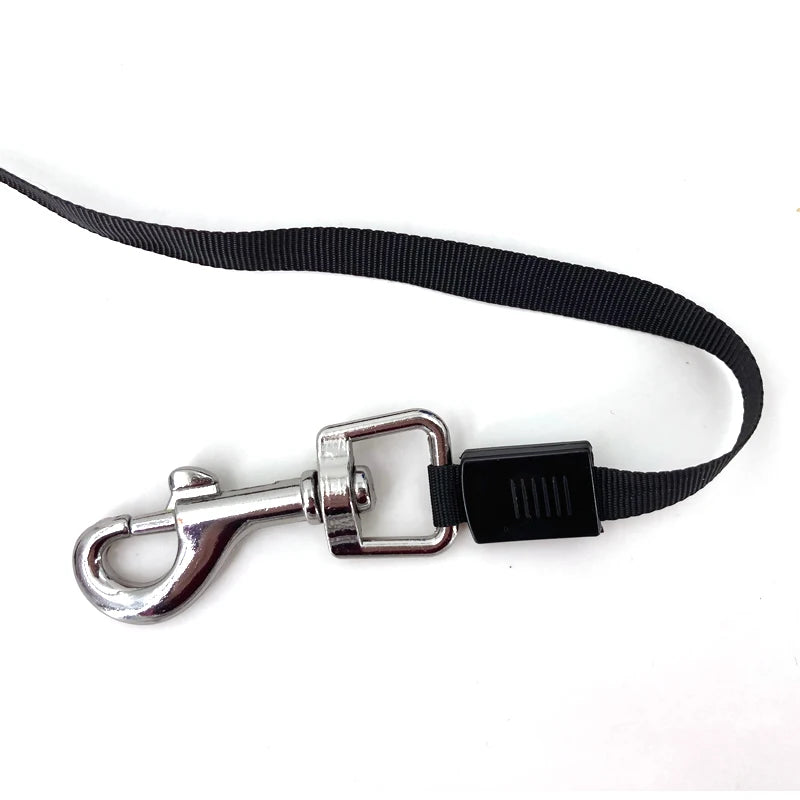 Retractable Dog Leash (3m or 5m) for Small to Medium Pets - view 16