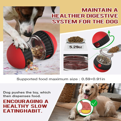 IQ Slow Feeder Ball for Dogs and Cats - lifestyle