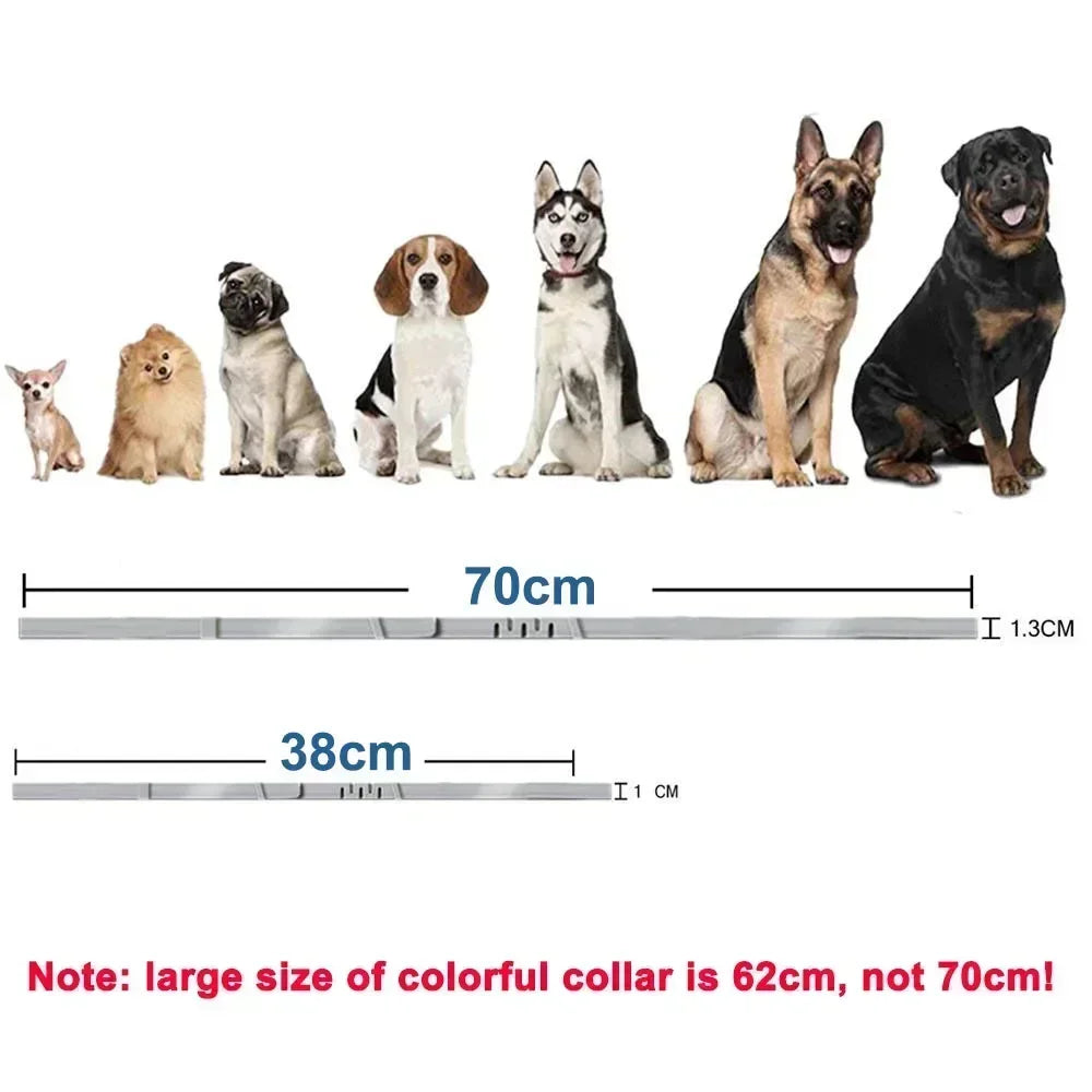 Adjustable Waterproof Plastic Dog Collar - lifestyle