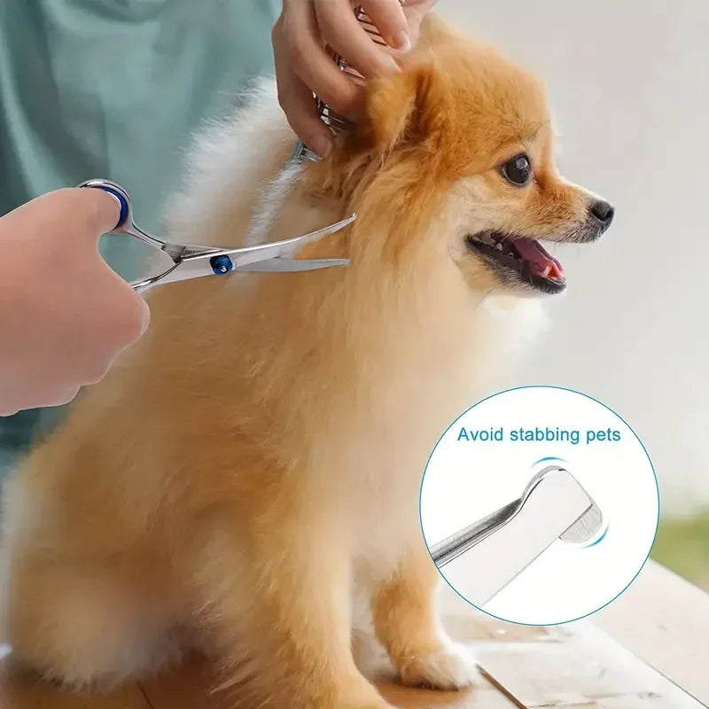 Round-Tip Pet Grooming Scissors (Ambidextrous) - lifestyle