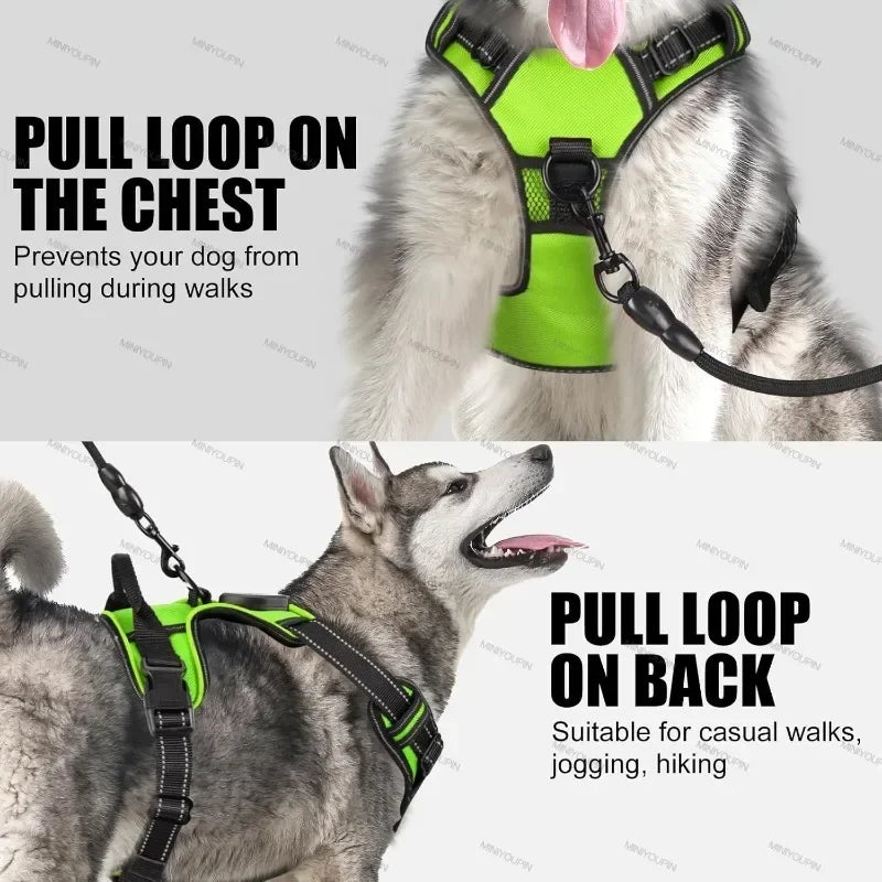 Rechargeable LED No-Pull Dog Harness - lifestyle