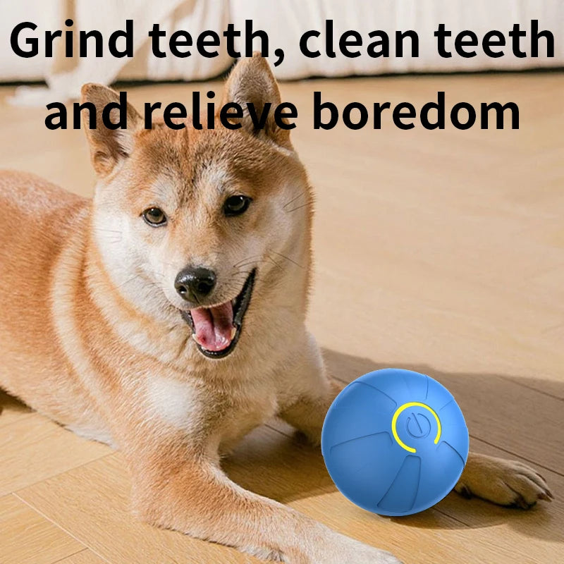 USB Rechargeable Smart Rolling Dog Ball - view 30