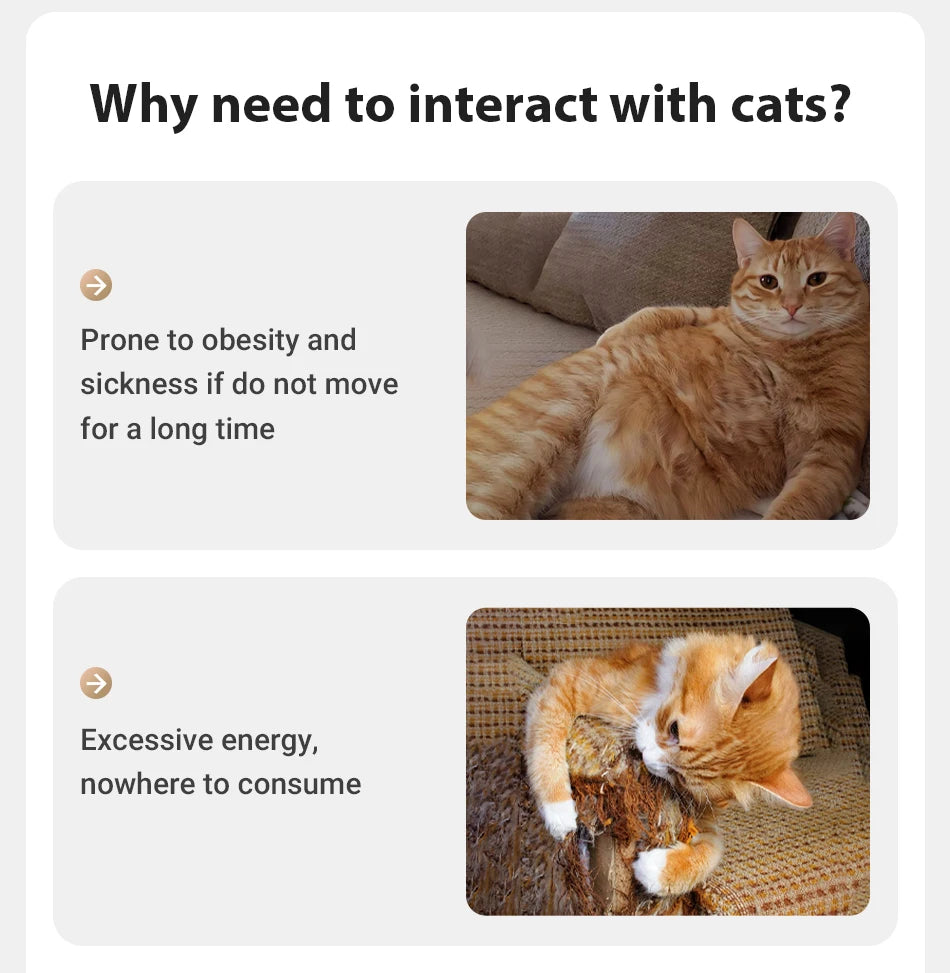 Automatic 360 Degree Laser Cat Toy - alternate angle