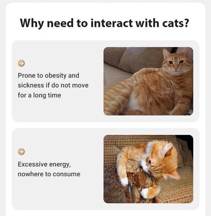 Automatic 360 Degree Laser Cat Toy - alternate angle