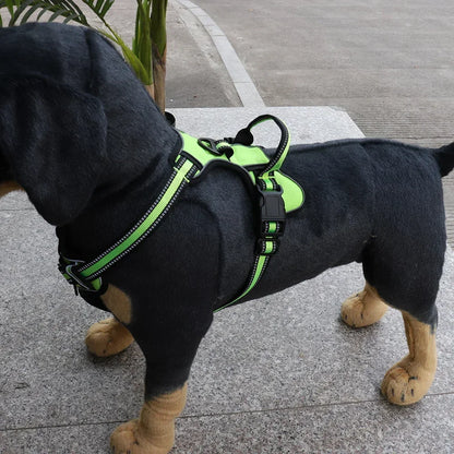 Adjustable No-Pull Reflective Dog Harness - close-up