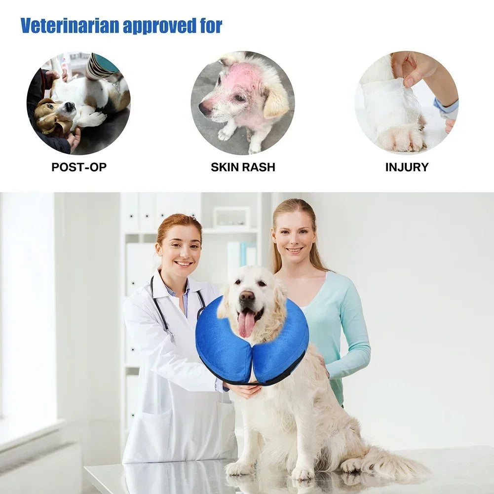 Inflatable Recovery Cone Collar for Dogs and Cats - detail
