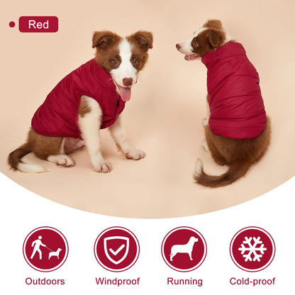 Cold-Proof Winter Dog Jacket with Fleece Lining - lifestyle