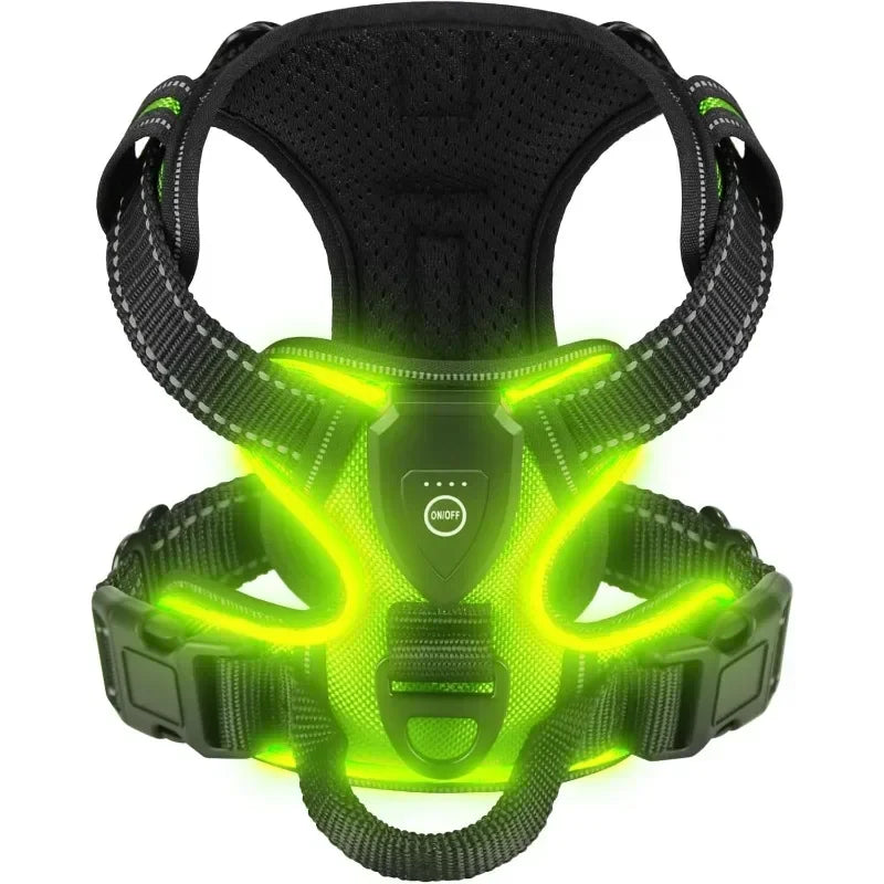 Rechargeable LED No-Pull Dog Harness - XL / green