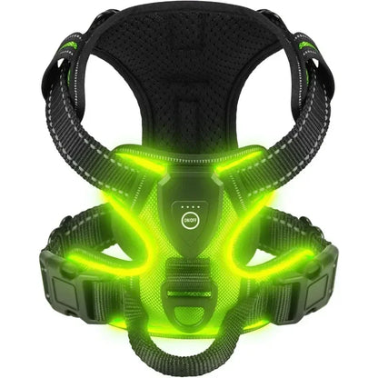 Rechargeable LED No-Pull Dog Harness - XL / green