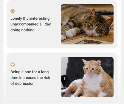 Automatic 360 Degree Laser Cat Toy - size reference