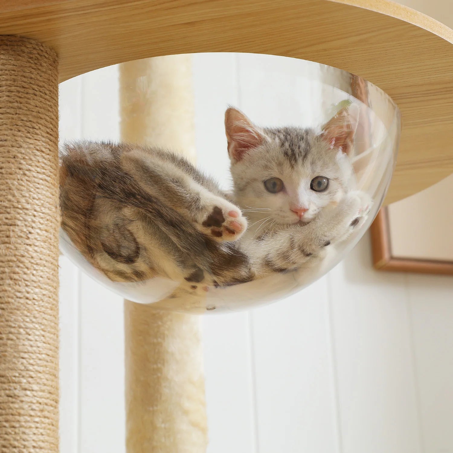 Multi-Level Wood Cat Tree with Hammock and Toys - in use