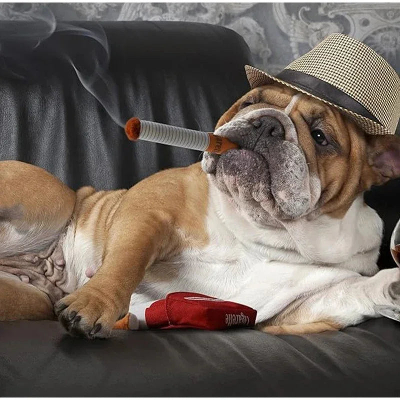 Cigarette Box Plush Squeaky Dog Toy (Funny Gift) - feature view