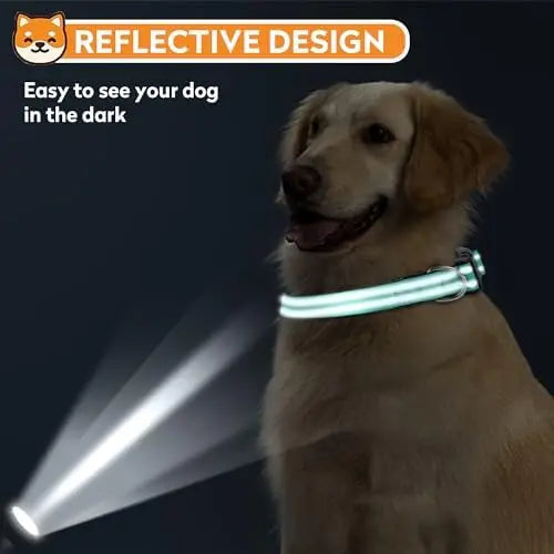 Reflective Adjustable Dog Collar for Medium Dogs - lifestyle