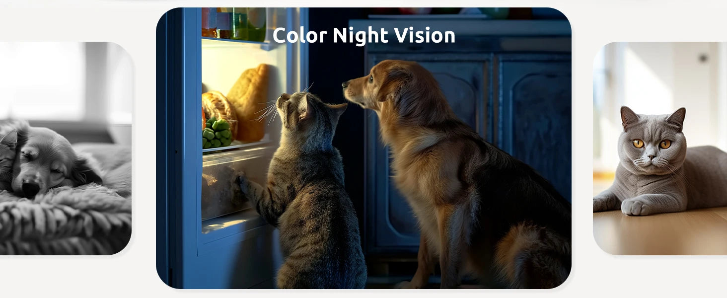 2K Pet Camera with 360 Pan-Tilt and Phone App - size reference