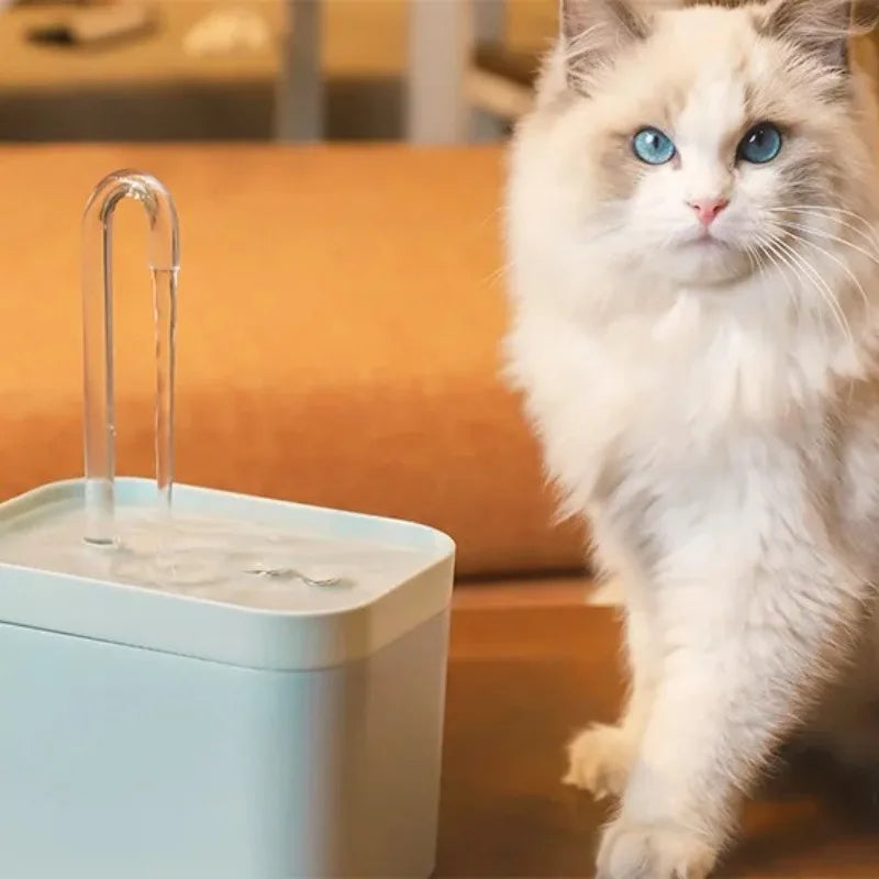 Auto Filter Pet Water Fountain (1.5L)