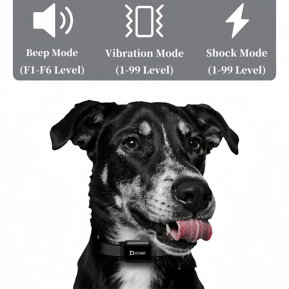 Digital Dog Training Collar with LCD Display (800m Range) - size reference