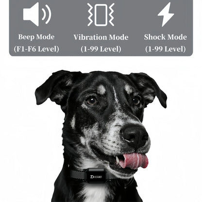 Digital Dog Training Collar with LCD Display (800m Range) - size reference