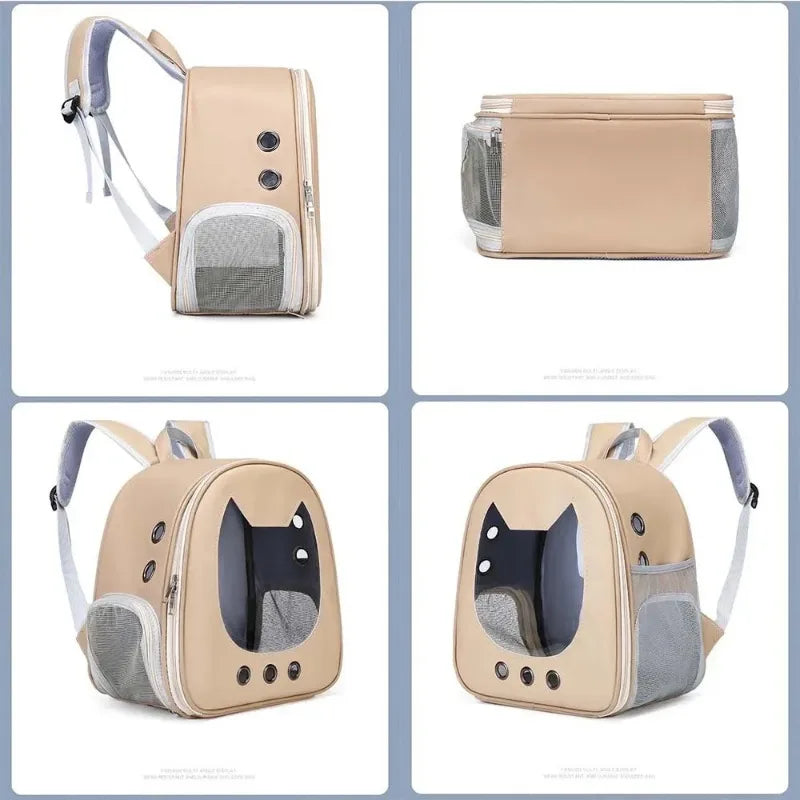 Foldable Transparent Pet Backpack for Cats and Small Dogs - lifestyle