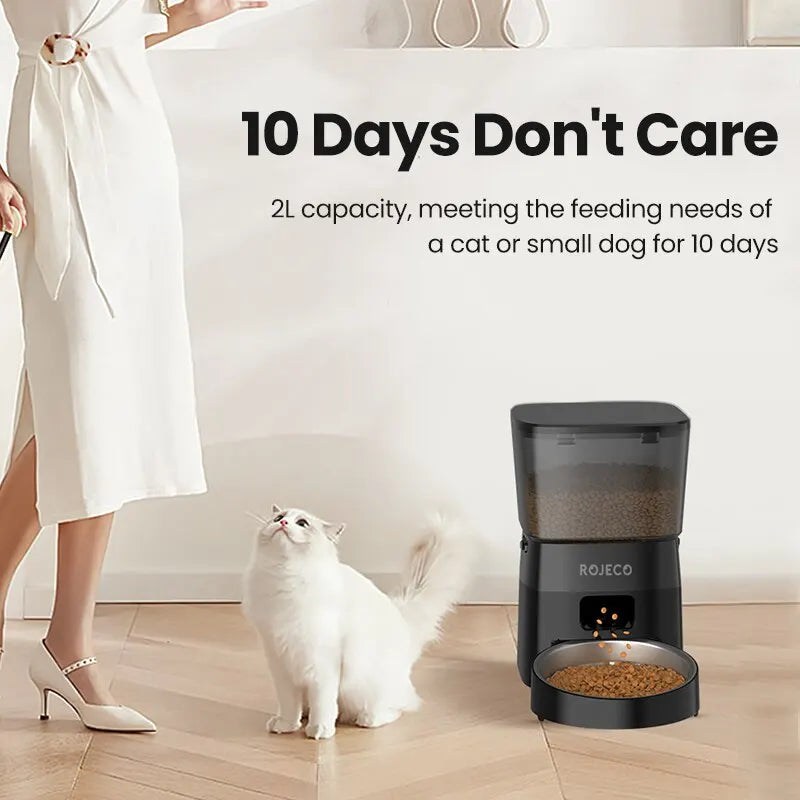 Automatic Pet Food Dispenser for Cats and Dogs - close-up