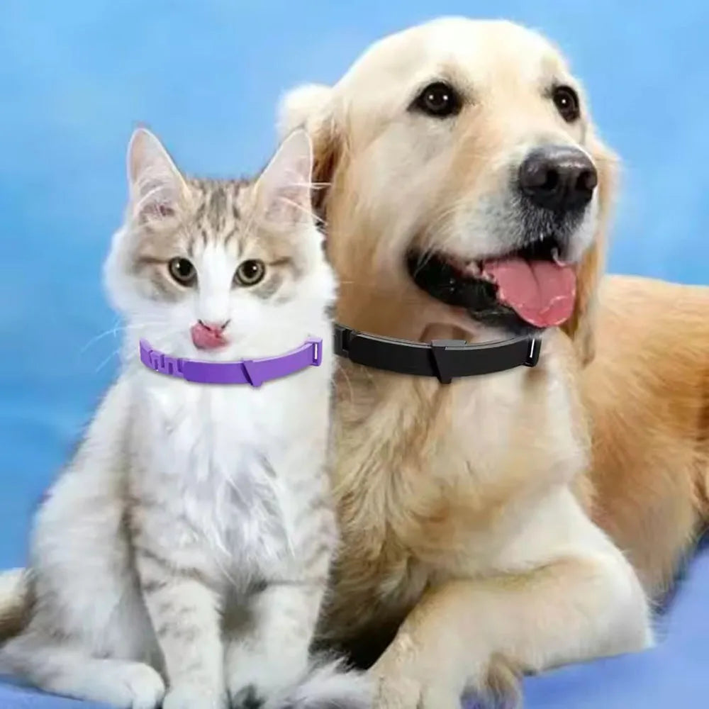 Adjustable Waterproof Plastic Dog Collar
