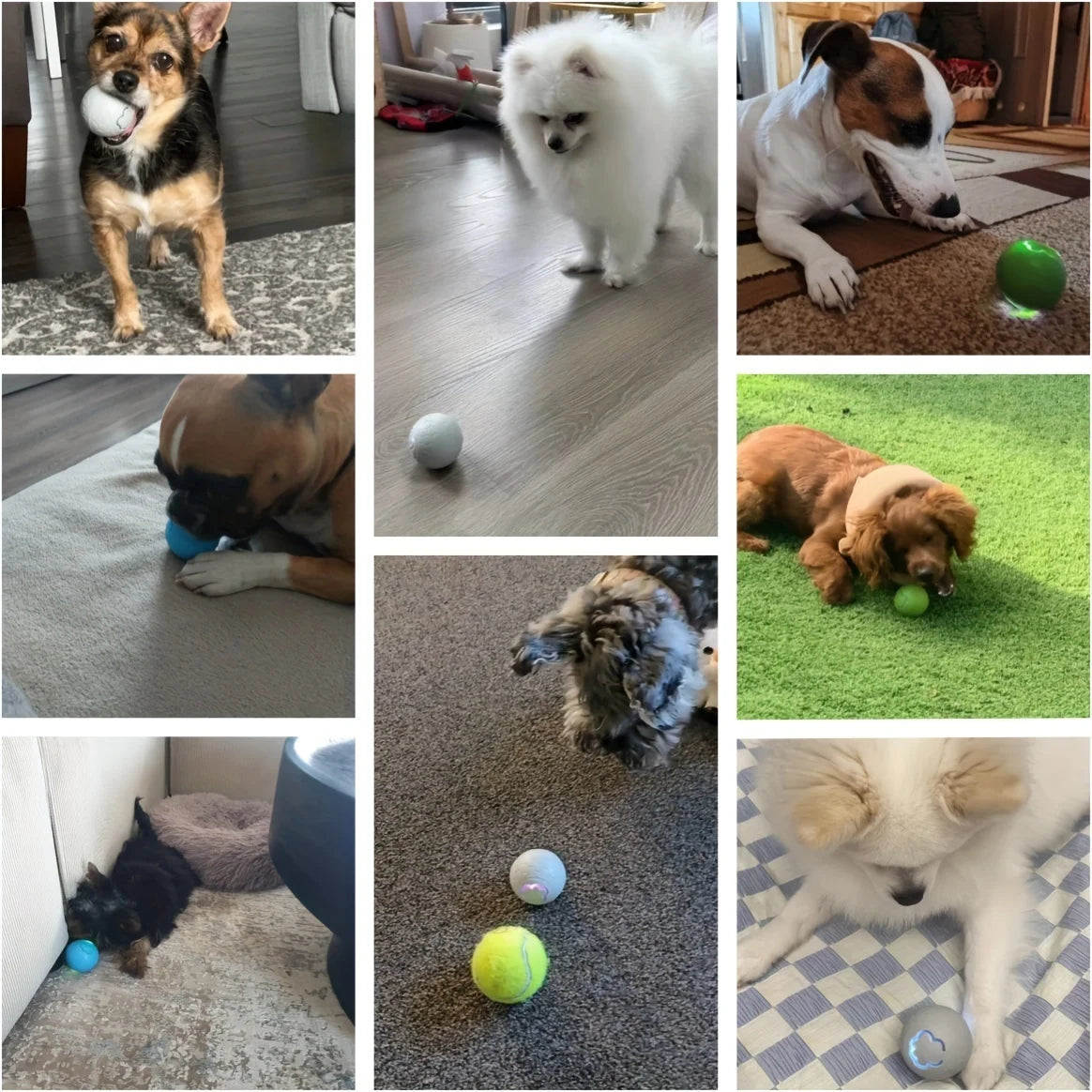 Smart Bouncing Dog Toy Ball with RGB Lights - view 12