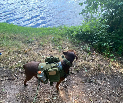 Tactical Military Dog Harness Set with Patches - feature view