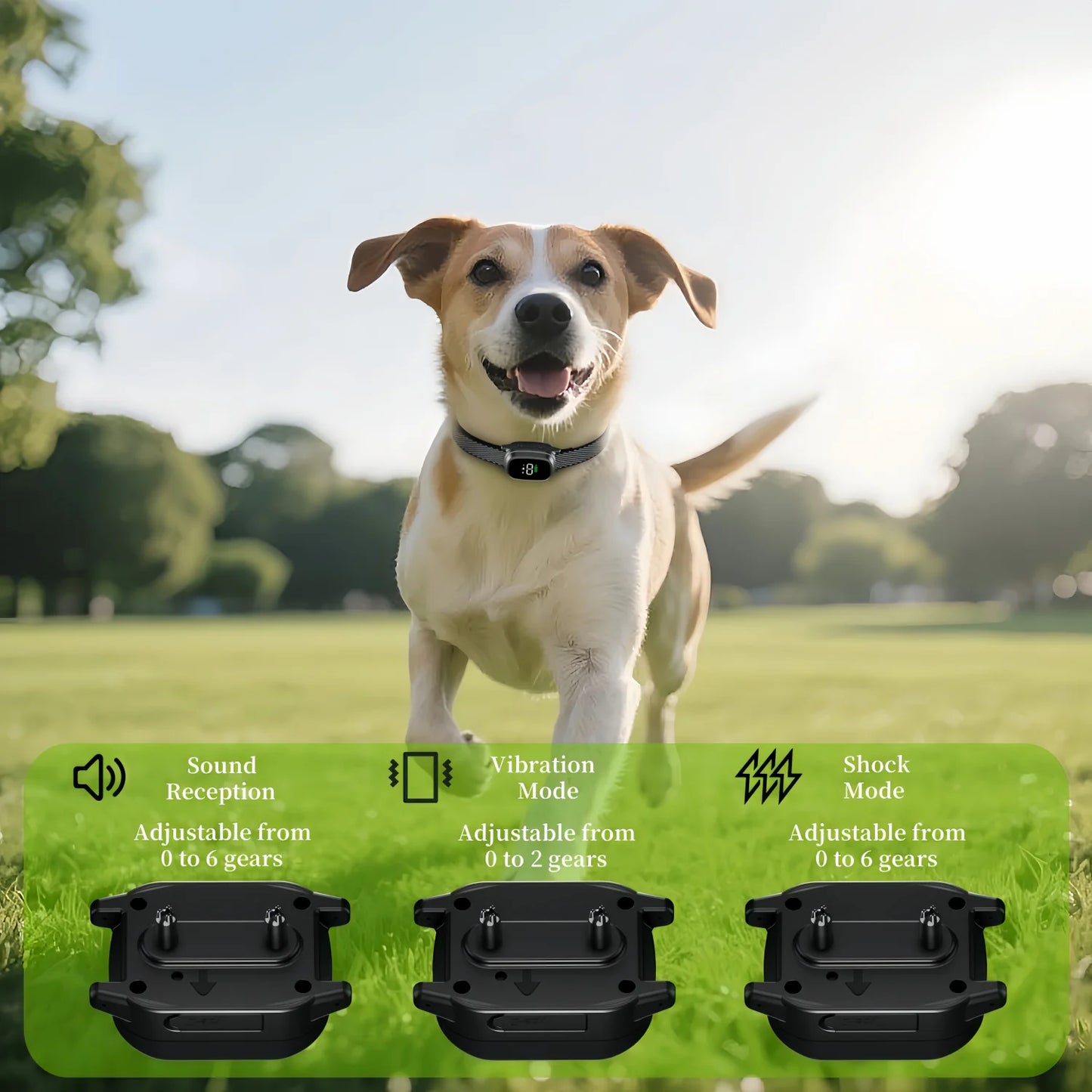 Waterproof Auto Anti-Barking Dog Collar (USB-C Rechargeable) - in use