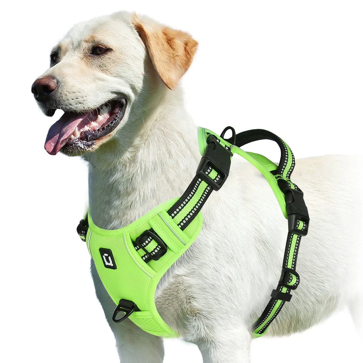 No-Pull Padded Dog Harness with Control Handle - XL / light green