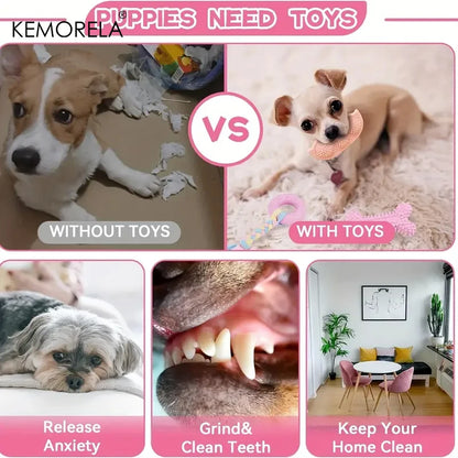 6-Piece Dog Chew Toy Set for Small and Medium Dogs - in use