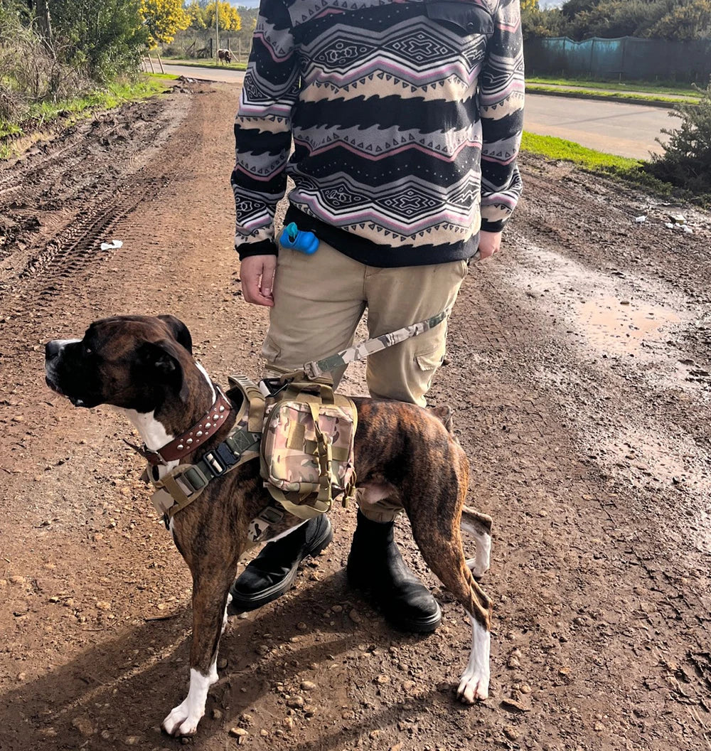 Tactical Military Dog Harness Set with Patches - from above
