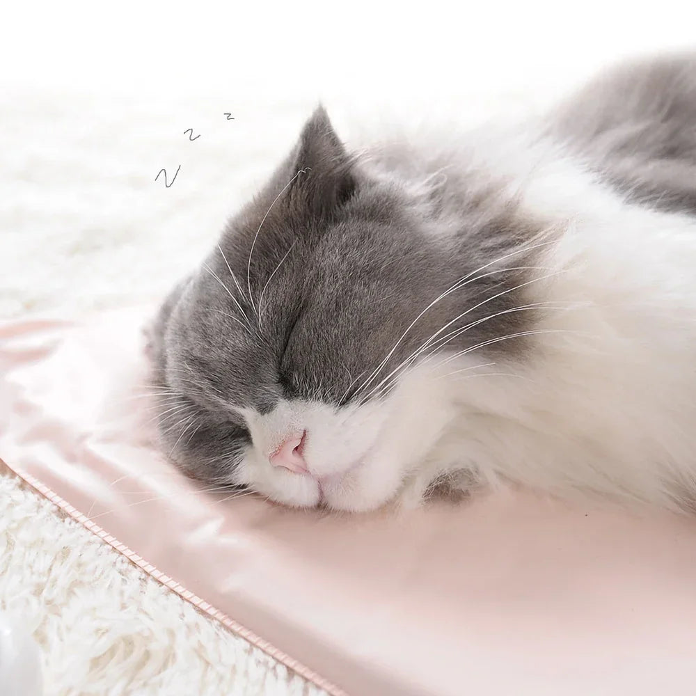 Waterproof Indoor Pet Heating Pad (45 x 45 cm) - in use