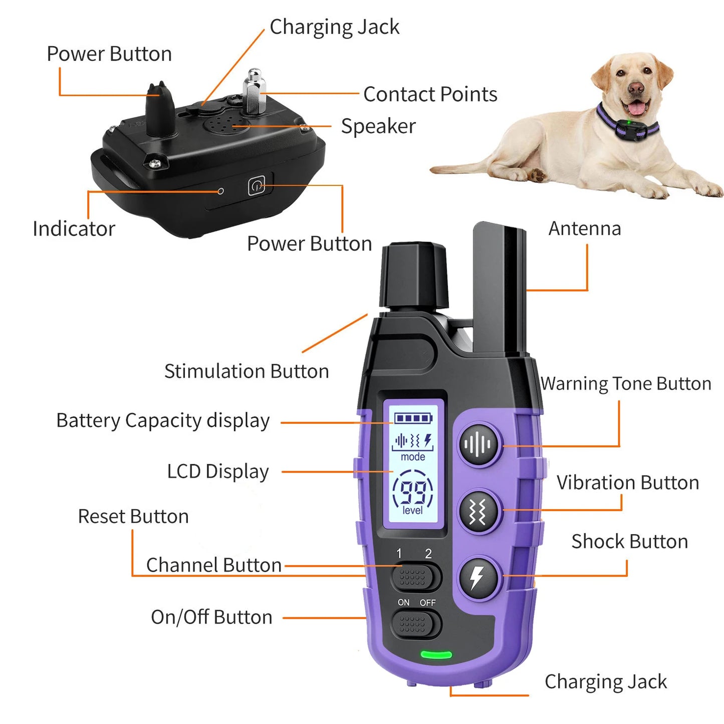 Waterproof Electric Dog Training Collar with Remote (3300ft Range) - lifestyle